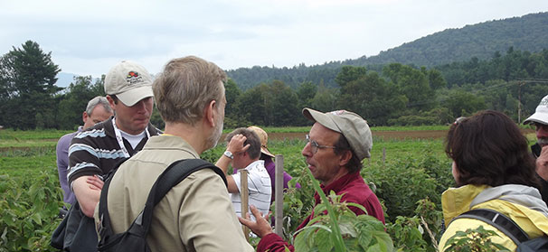 Northeast vegetable farms diversify to survive
