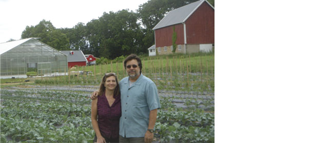 Pest management options for sweet corn growers