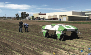 Dino autonomous robotic weeder