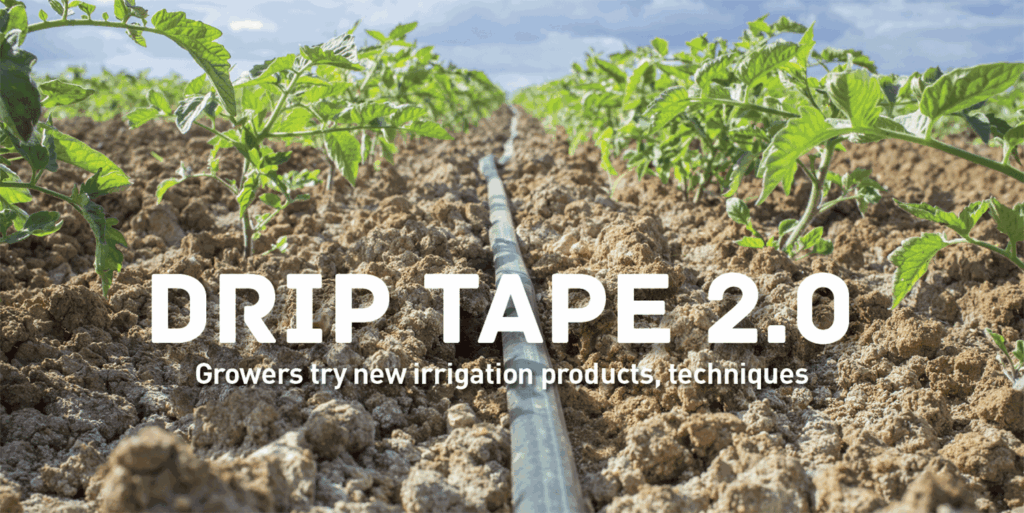 Growers try new drip irrigation products, techniques