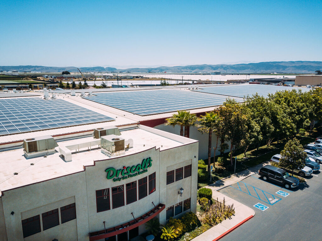Santa Maria cooling facility gets solar for berry firm Driscoll’s