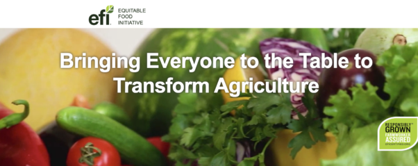 EFI enlarges operations in 2022