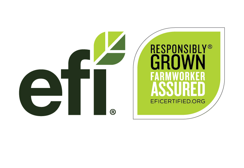 Impactful year marked by EFI