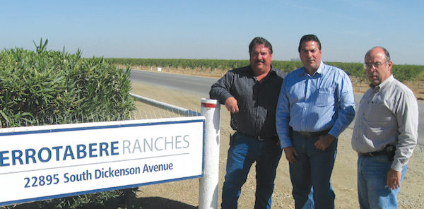 Errotabere Ranches leads on Western challenges