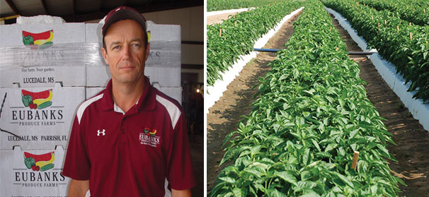 Mississippi grower awarded for on-farm activities