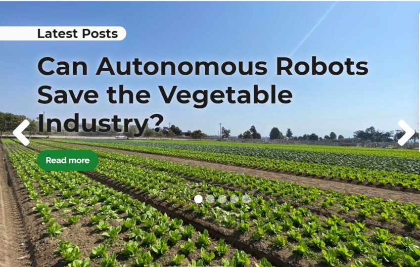 Autonomous robots: Vegetable industry savior?