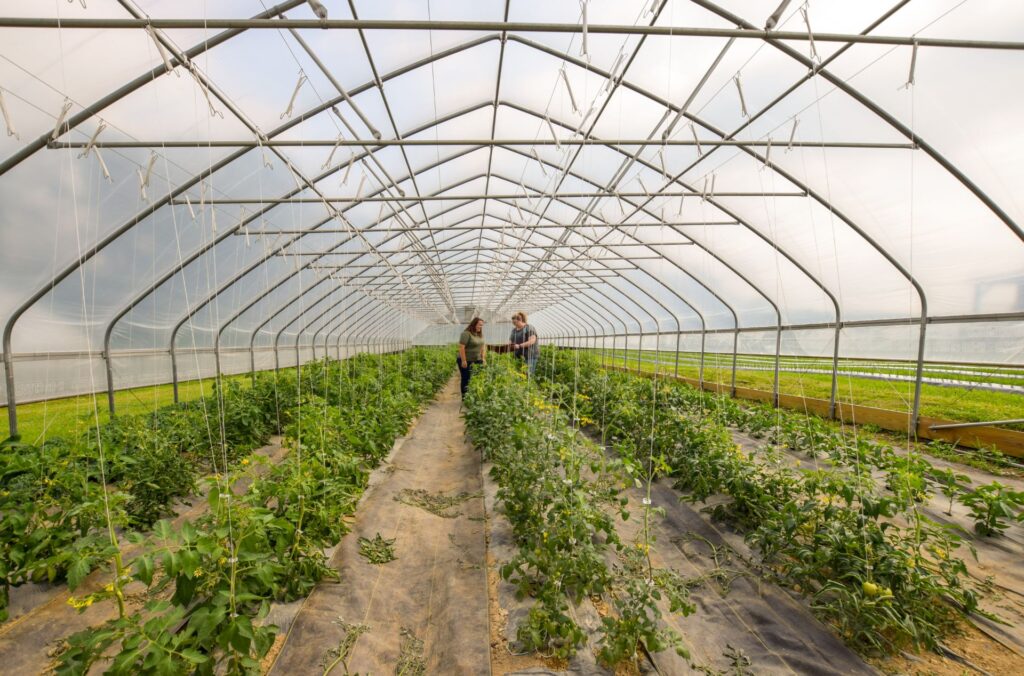 West Virginia vegetable growers featured on USDA tour