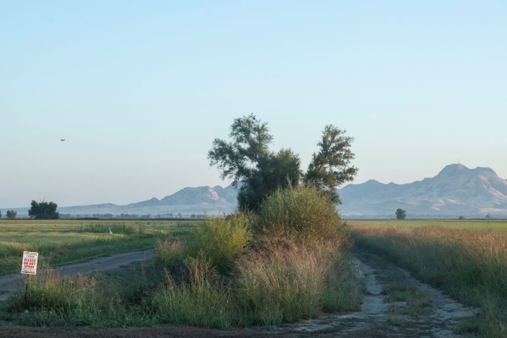 California to growers: What is ‘regenerative?’