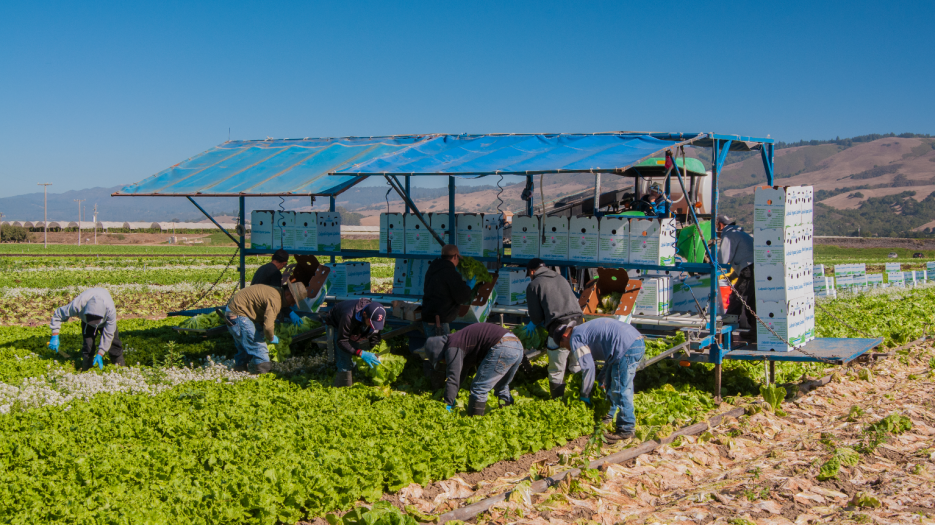 Farm Bureau encourages farmers to participate in USDA labor survey