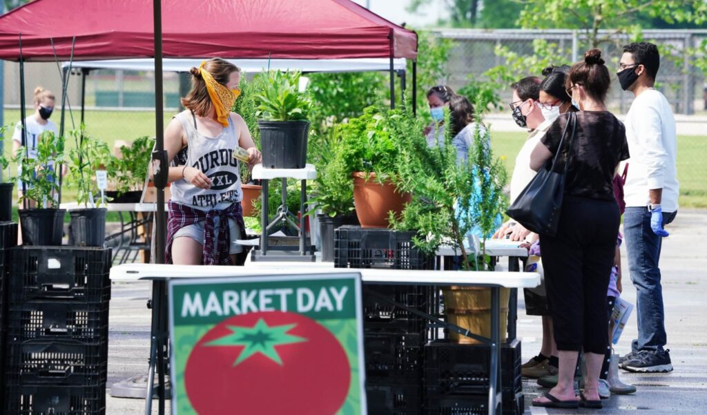 Farmers’ markets adjust to pandemic in Michigan