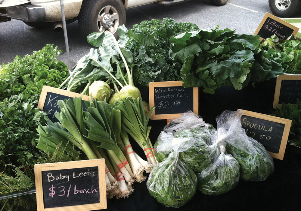 Setting farm market prices and fighting pests, diseases