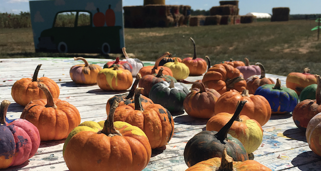 Is agritourism right for your farm market?