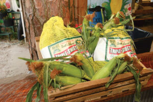 Long & Scott Farms sweet corn