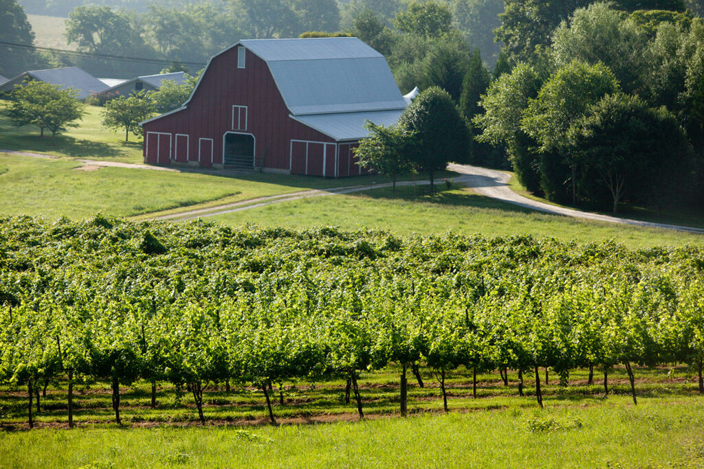 2021 offers opportunity for ‘rural to shine,’ Georgia Ag Forecast shows