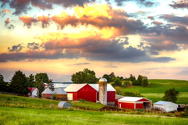 US, Virginia farmers impacted by COVID-19 pandemic