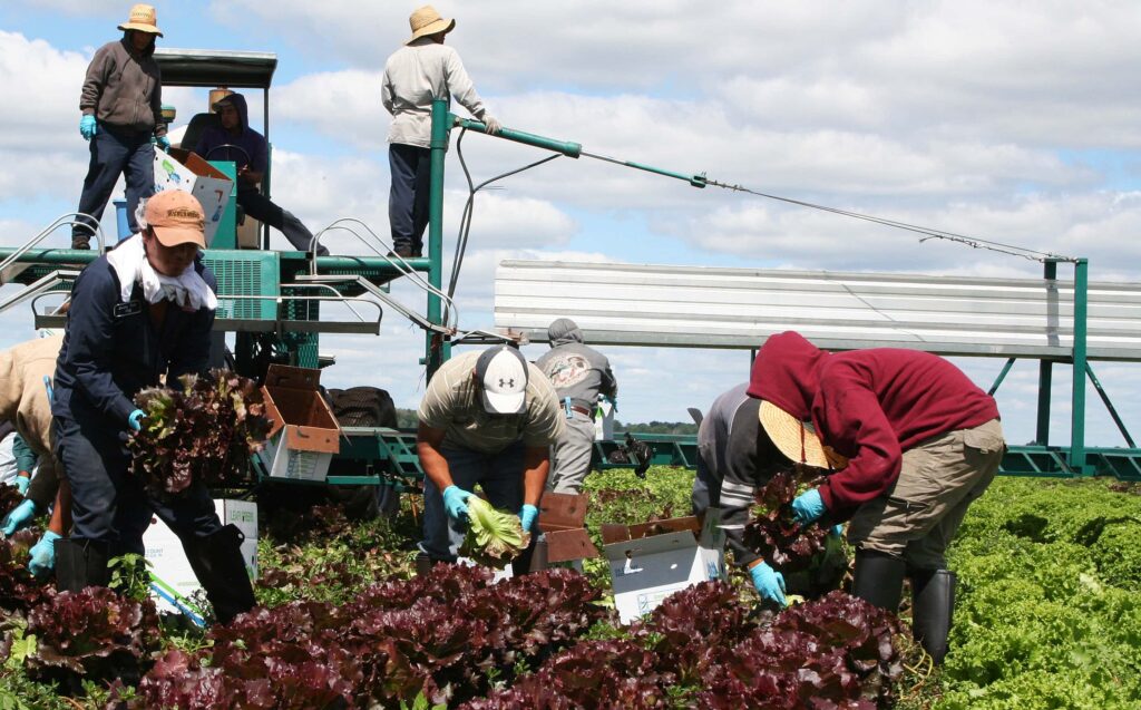 Breaking: Update of H-2A wage rule released by Department of Labor