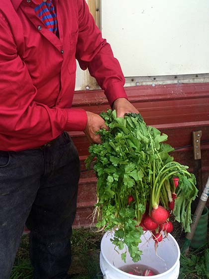 New Vermont grant funds food access for Latinx farmworkers