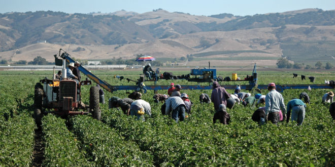 H-2A program faces scrutiny under new Washington state measure