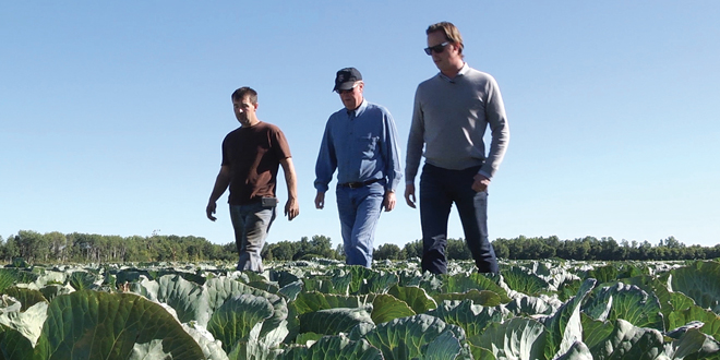 A kraut company reinvents itself for the 21st century