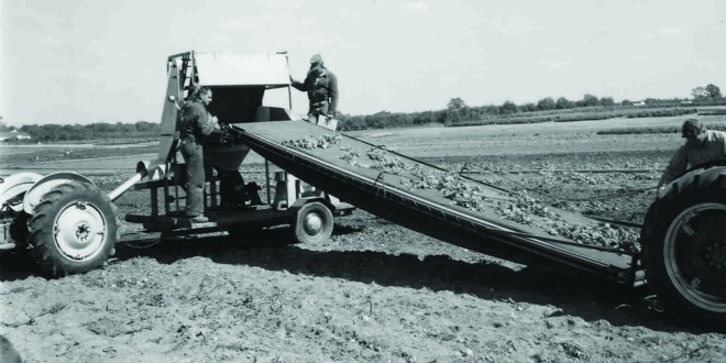 Ag engineer Dale Marshall played key role in developing harvest equipment