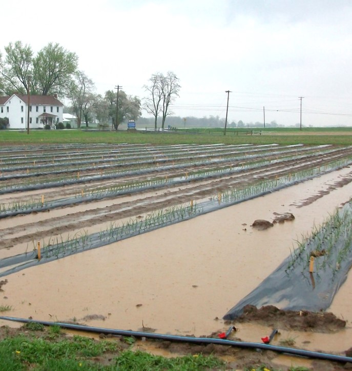 Producers affected by ’18, ’19 natural disasters can get aid