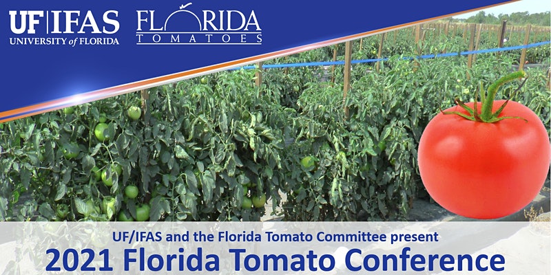 Florida Tomato Conference scheduled for Sept. 8