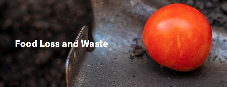 USDA seeks drop in food losses, waste