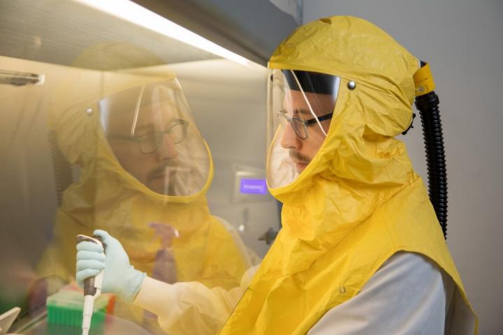 $1M grant eyes survival of COVID-19 on surfaces in food supply chain