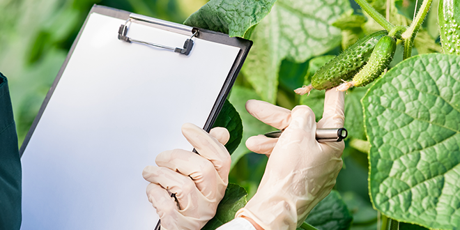 Food safety best practices’ implementation found to be challenging