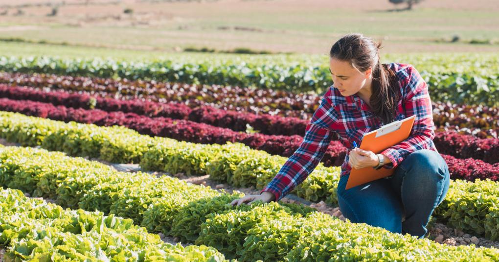 Value of produce safety standards evident with outbreaks, FDA says