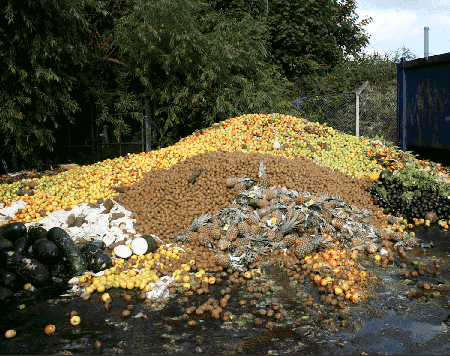 Postharvest food waste addressed with research and education
