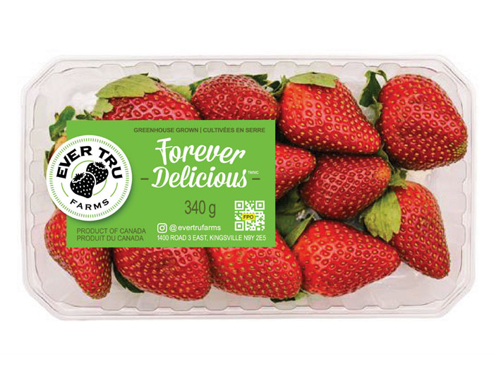 Hydroponic berry growing operation sets up shop in Ontario