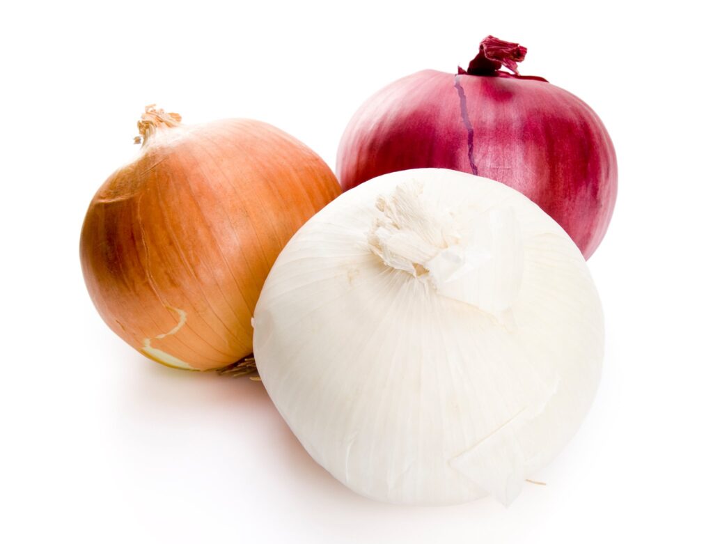 Salmonella in whole onions from Mexico cited in CDC food safety alert