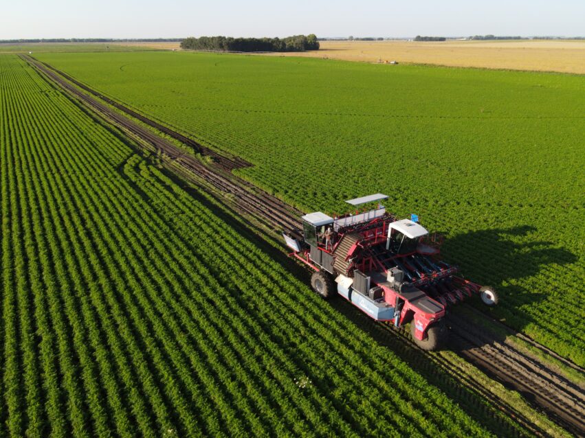 Fresha expands carrot growing in Georgia