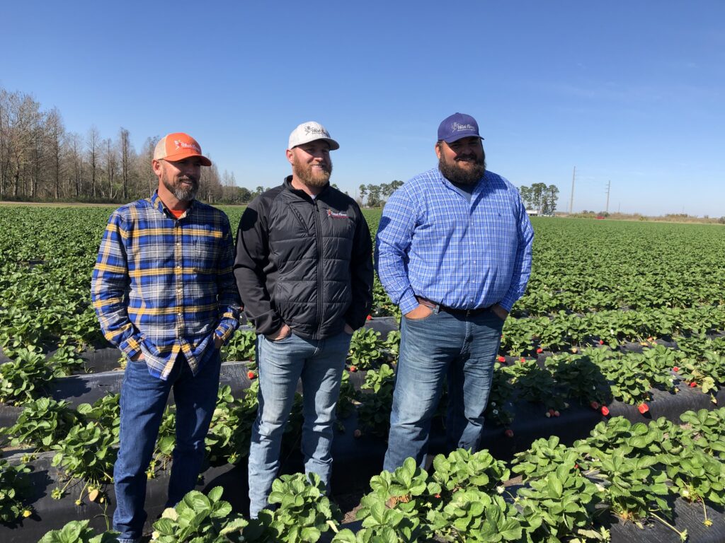 Farm expansion pursued by Florida strawberry operator Wish Farms