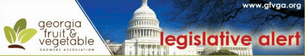 Georgia growers group supports ag labor bill