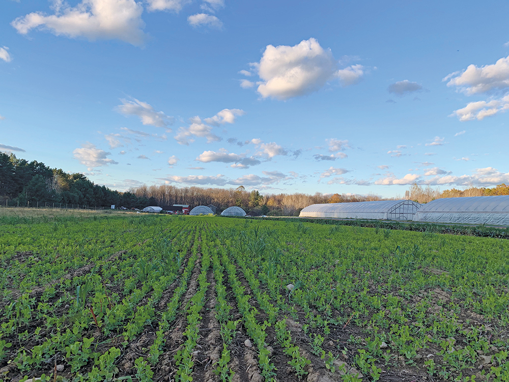 Report: Up to $12 billion in aid for US farmers could be available