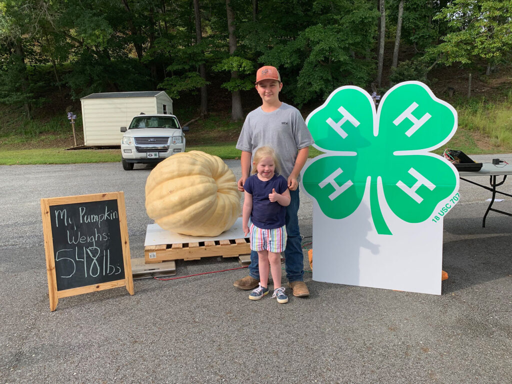 Prize-winning pumpkin weighs in at more than a quarter ton