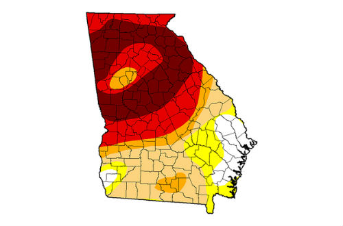 Recent rainfall provides hope for Georgia farmers