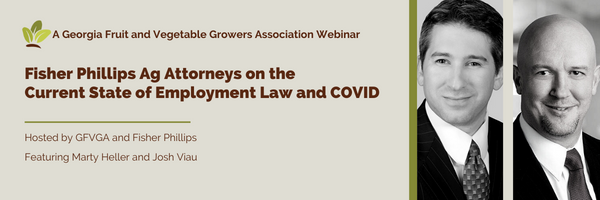 Georgia association offers webcast on employment law, COVID
