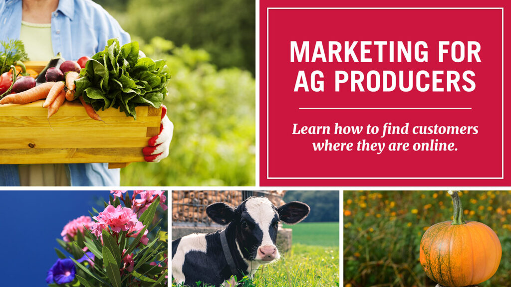 Digital marketing for Georgia ag operations is webinar series topic