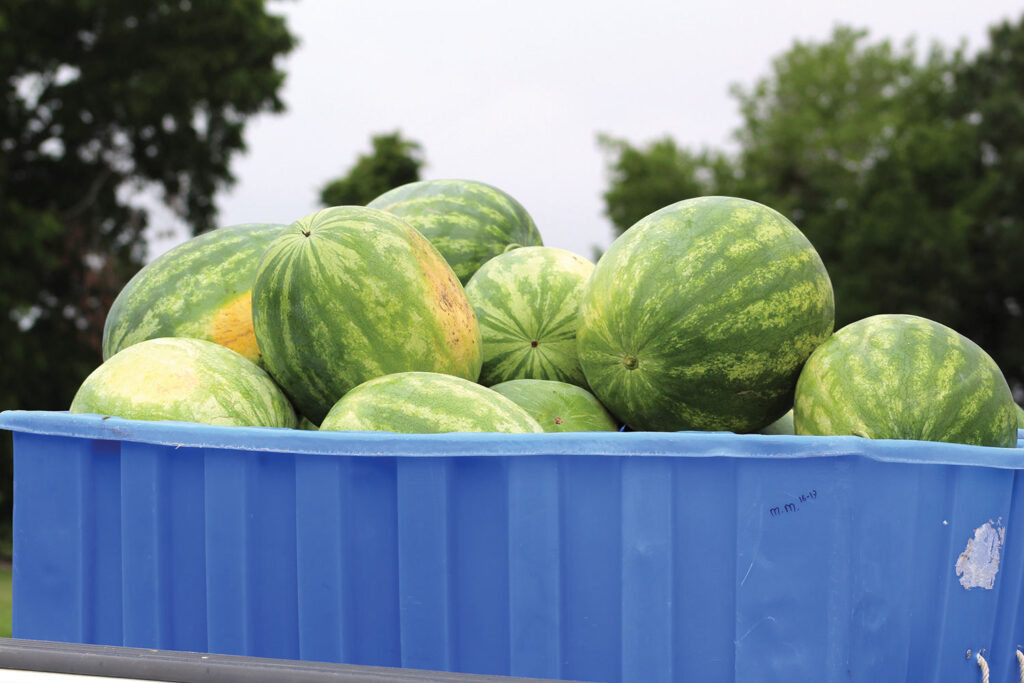 USDA proposes revising US standards for watermelon