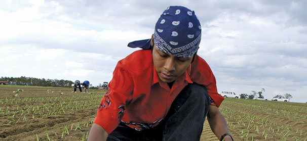ACA noncompliance penalties could crimp farms