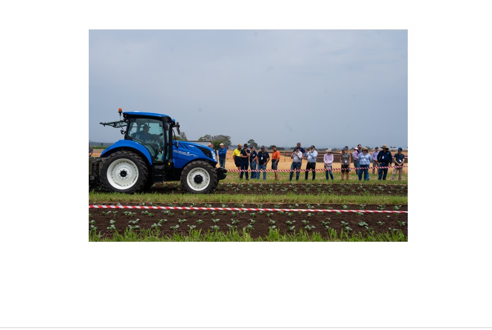 Robots to boost Australian veggie growers’ tech