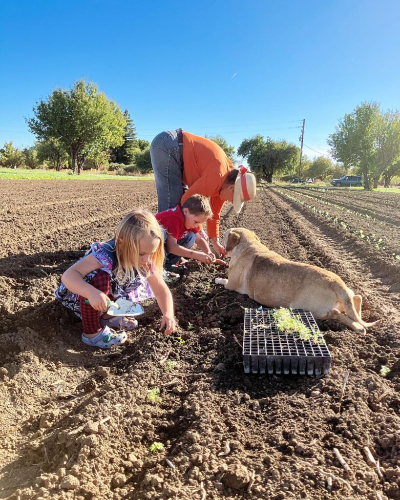 Mother and two children viewing young lettuce plantings at Good Humus Produce.