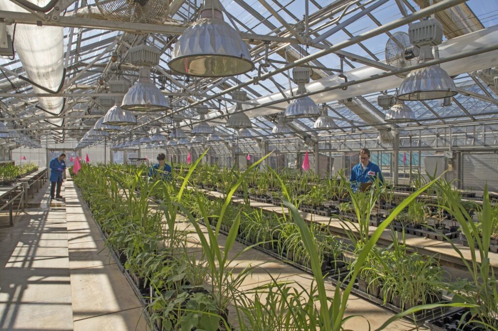 $50M FMC greenhouse investment boosts Delaware agriculture