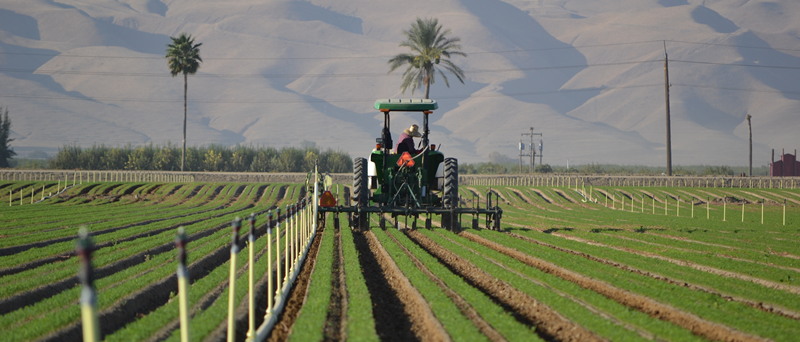 Grimmway Farms to acquire San Miguel Produce