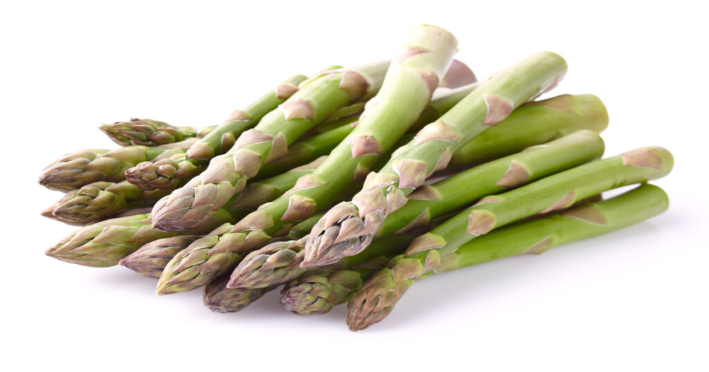 Guelph Equinox asparagus officially launched in Europe