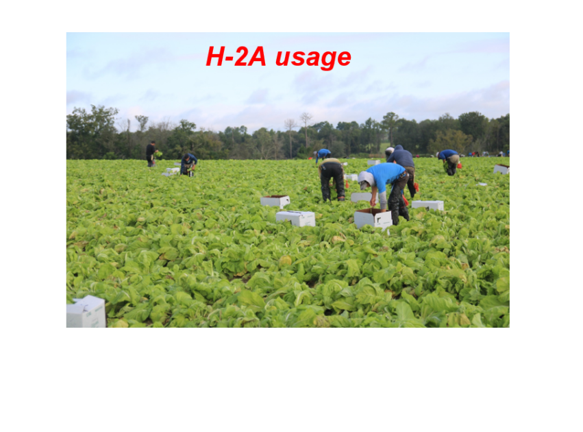 Despite working in deadly heat, study shows migrant workers keep Americans fed