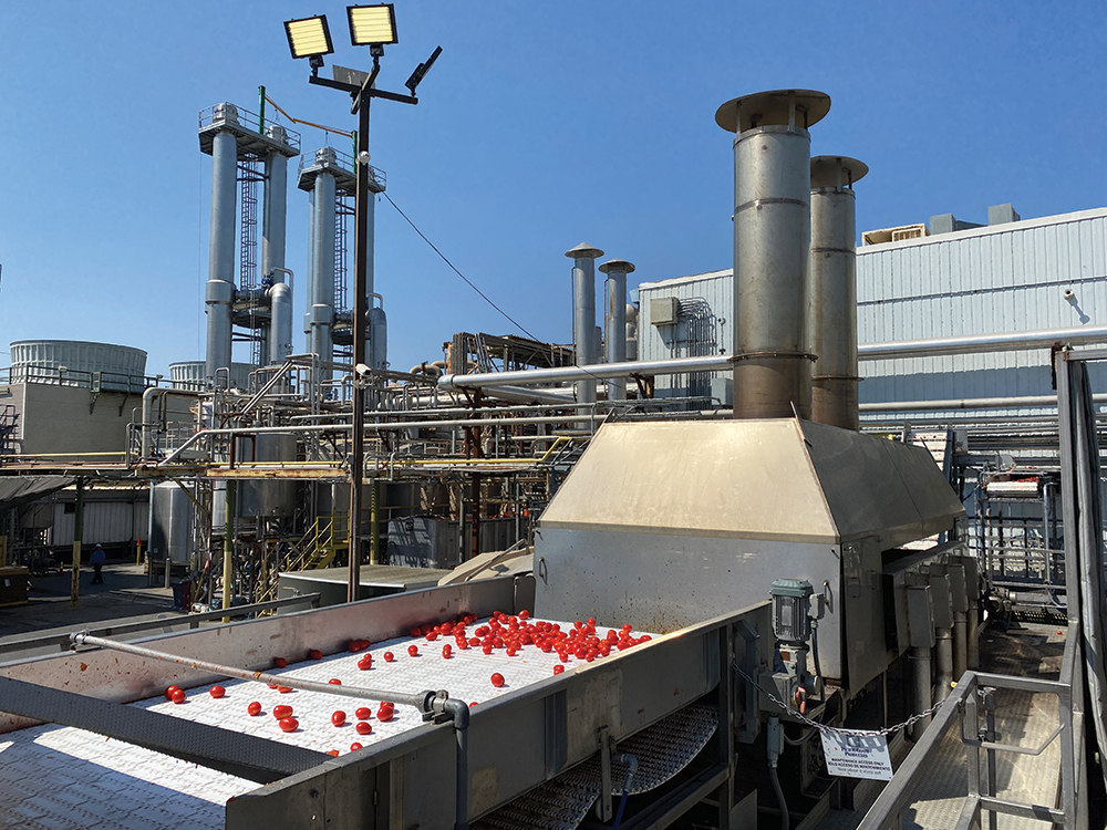 Pacific Coast Producers evaporator. Photo by Melanie Epp.